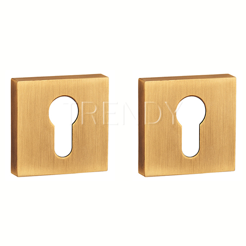 Square Cylinder Rosette Zinc Alloy Escutcheon Cylinder Base Lock Cover (ZR27-CL)