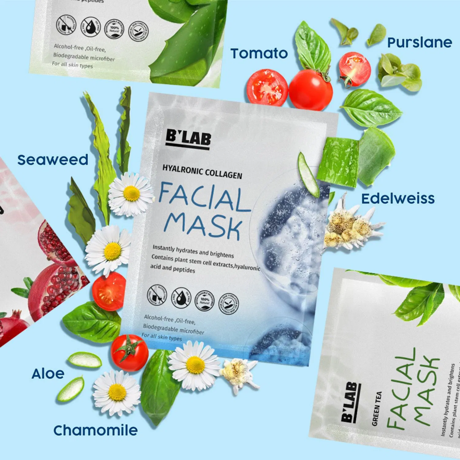 Popular Wholesale Organic Natural Skin Care Facial Mask