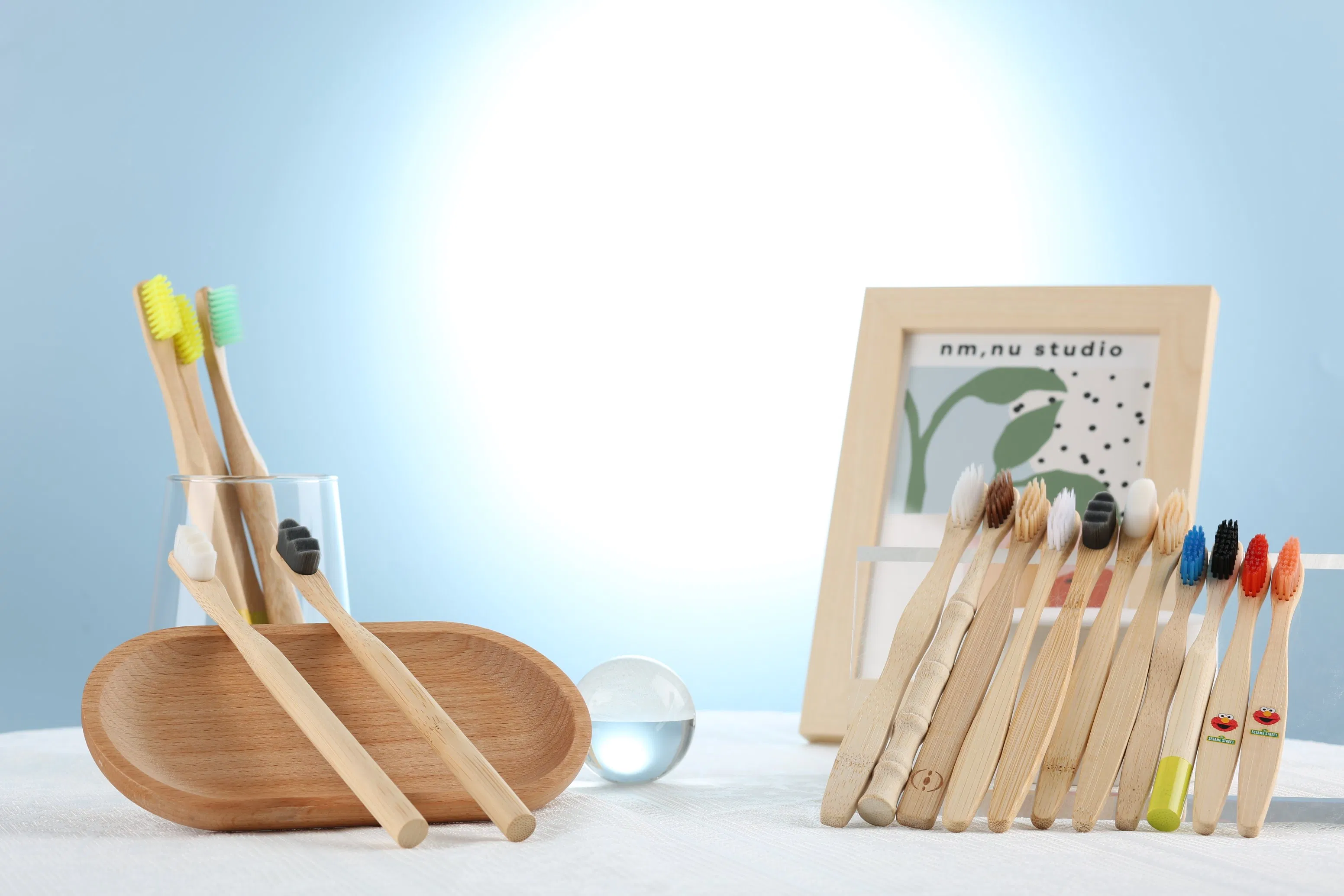 Dental Kit Brush Kit Hotel Amenities Set Biodegradable Toothbrush 10