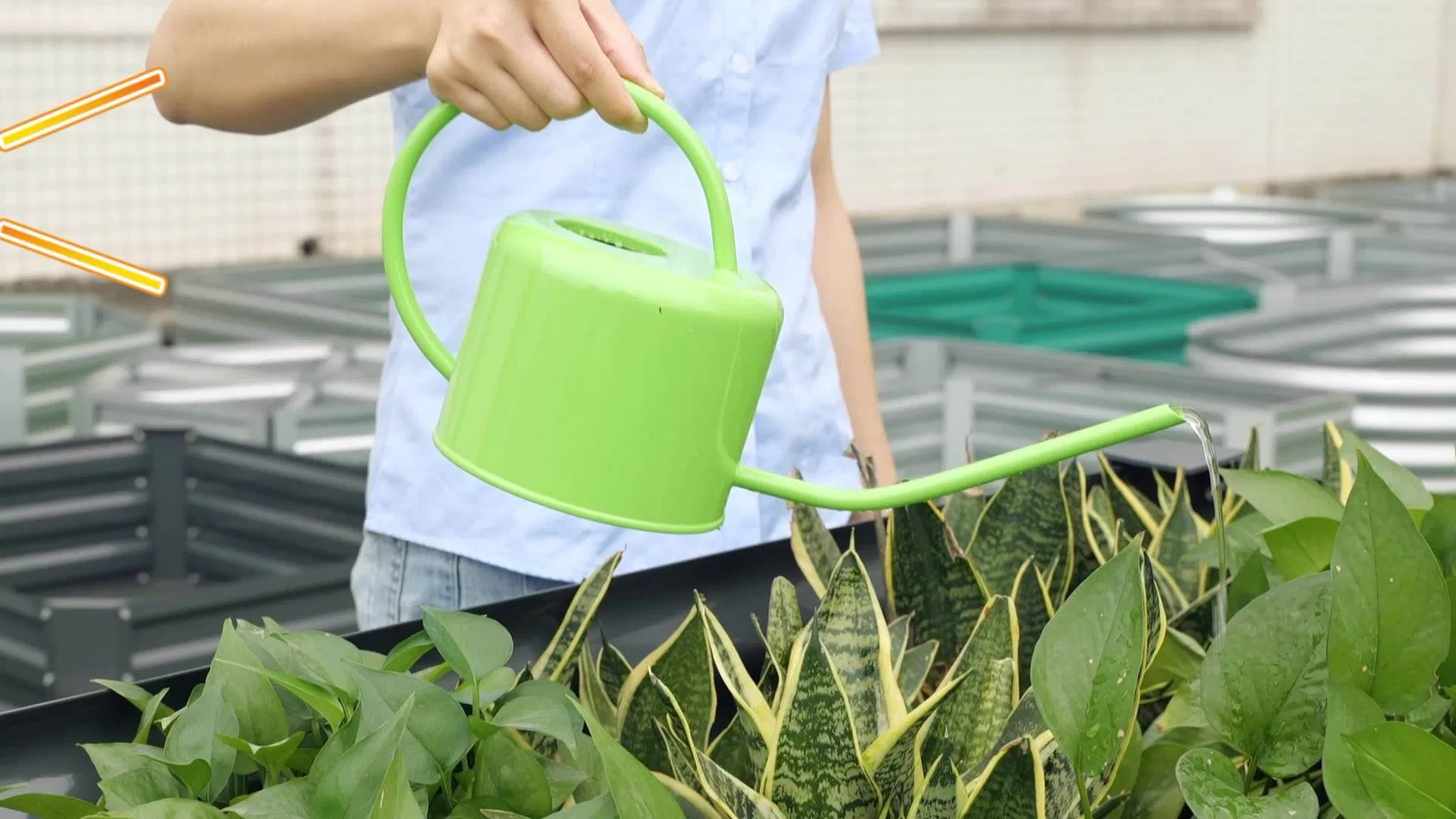 Indoor Gold Stainless Steel Easy Pour Long Spout Watering Pot Watering Can