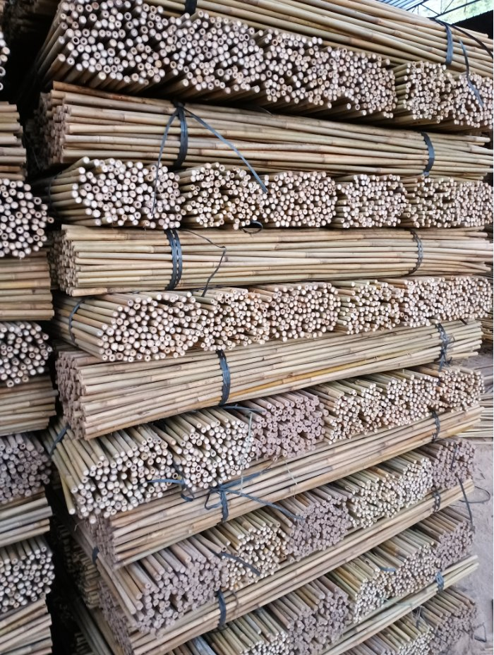 Factory Tonkin Bamboo Cane Garden Stake Moso Natural Artificial Raw Bamboo Poles