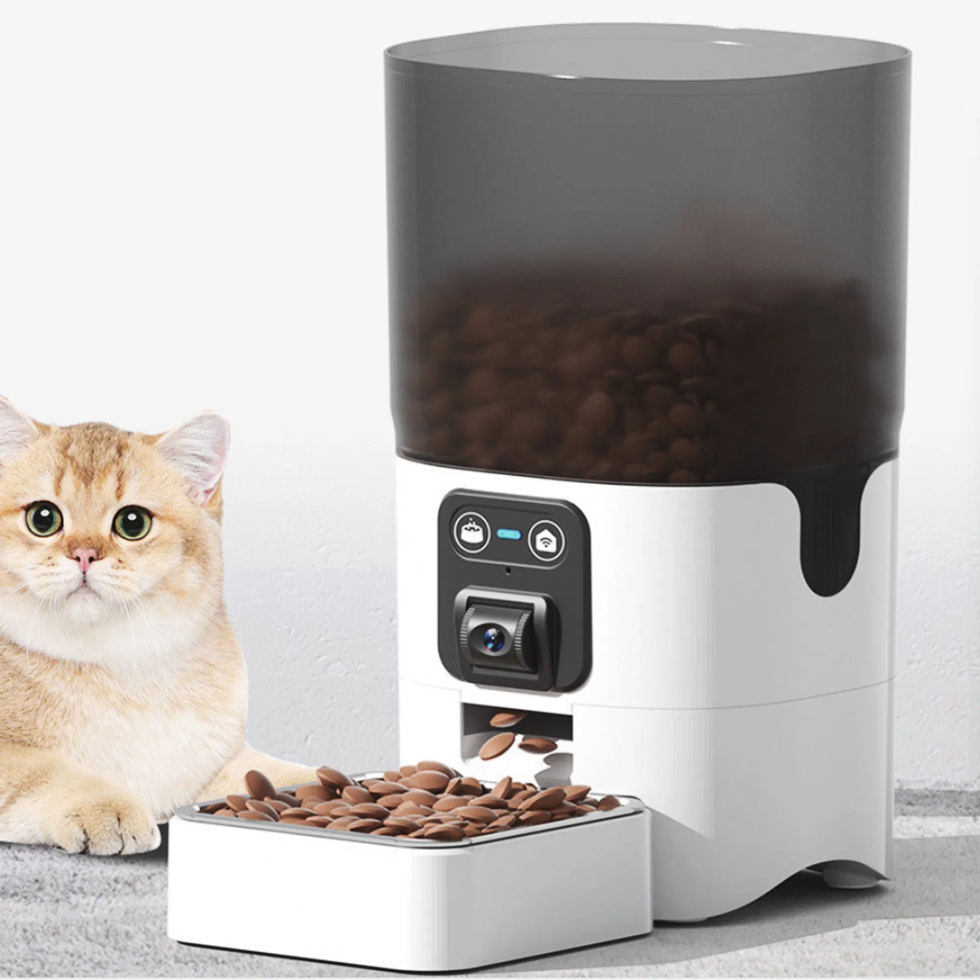 Timed Dog Feeder Stainless Steel Bowl Large Capacity Automatic Pet Food Dispenser