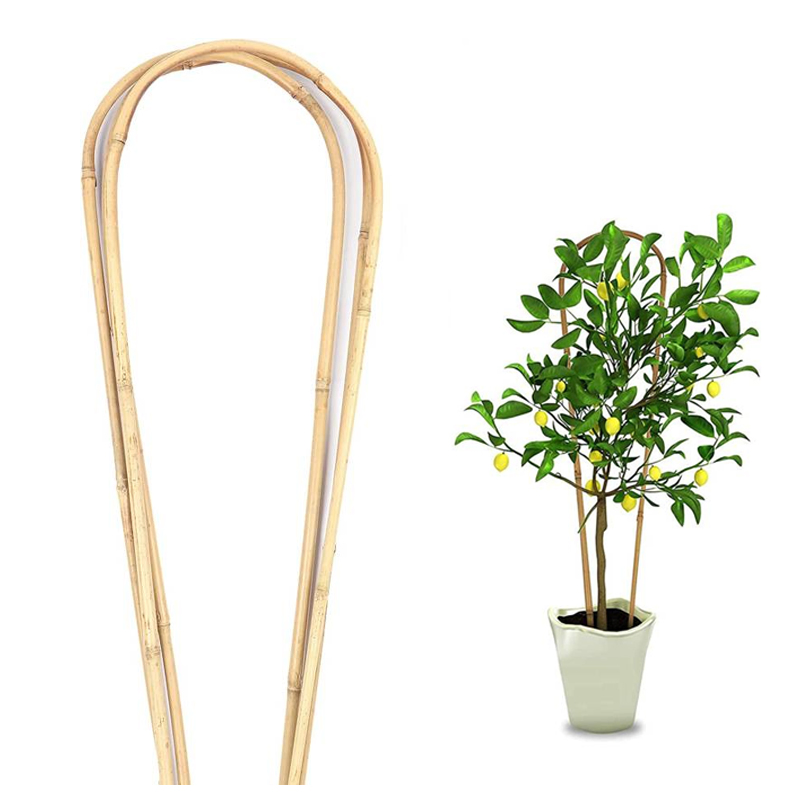 Bamboo Cane Plant Pot Trellis Fan Garden Flower Support Frame