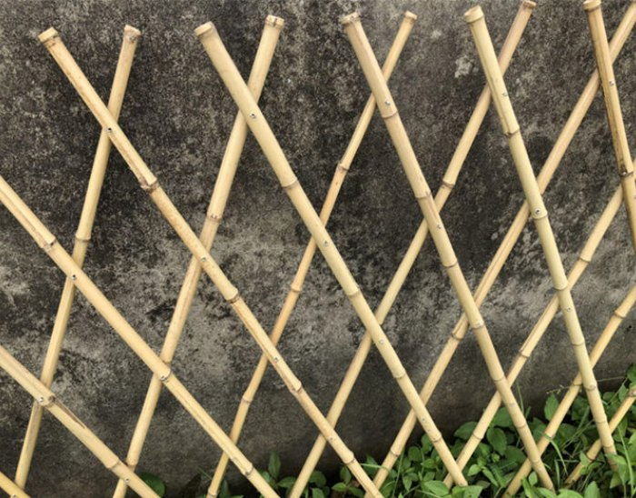 Natural Tonkin Bamboo Fence/Guardrails for Gardens Have a Protective Effect