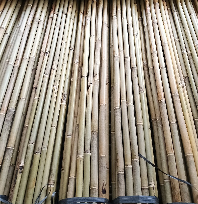 Tea Bamboo Cane Also Called Sometimes Tsinglee Bamboo Pole