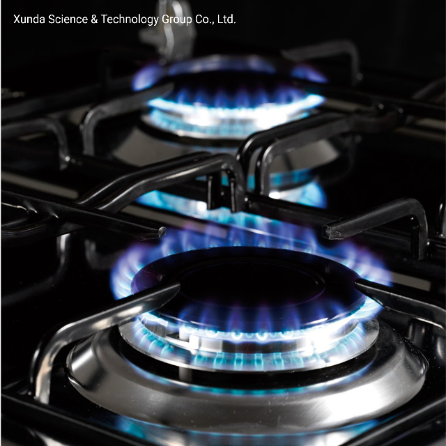 Xunda Range Cooker Gas Stove Free Standing Gas Oven Home Cooker Kitchen Stove
