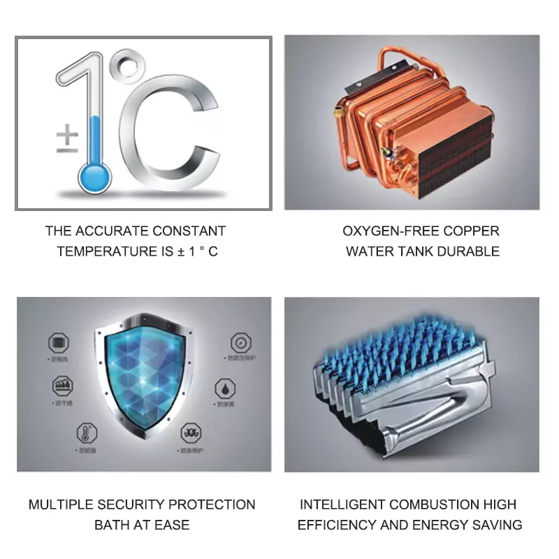 Flue Type Natural 12L 16L Gas Water Heater for Bathroom Shower