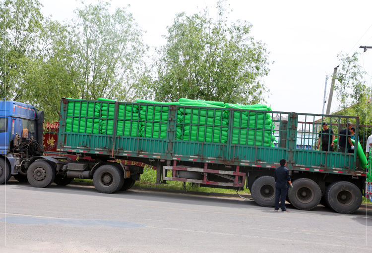 High-Strength Vegetation Net Custom Size Anti-Deformation