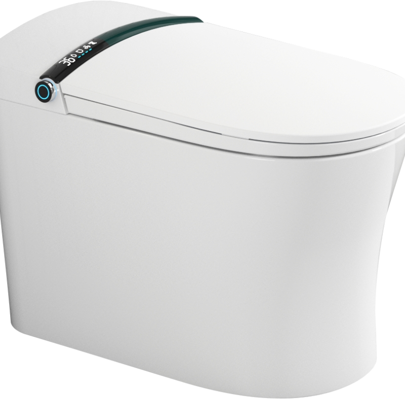 Minimalist Series Hot Selling Fashionable Ceramic Toilet Toilet