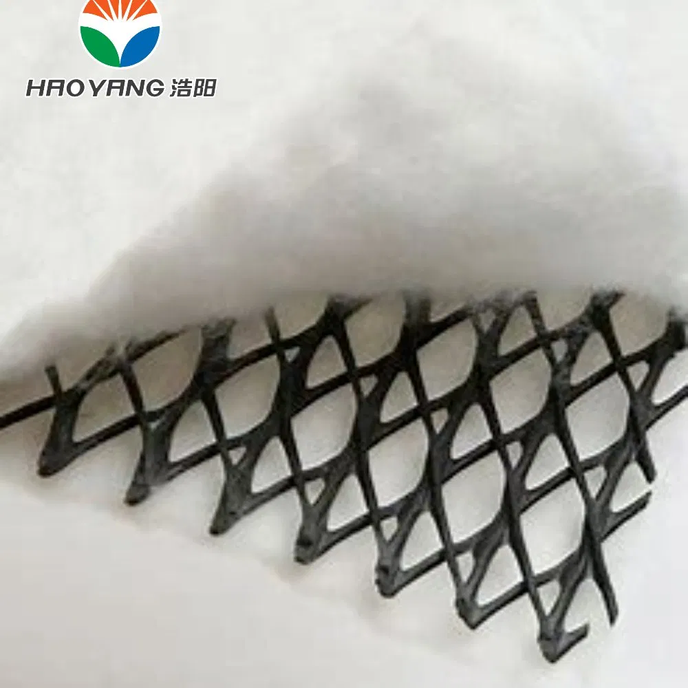 HDPE High Quality Geonet for Railway Drainage