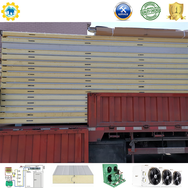 PIR Panels for Vegetable Walk-in Cold Storage