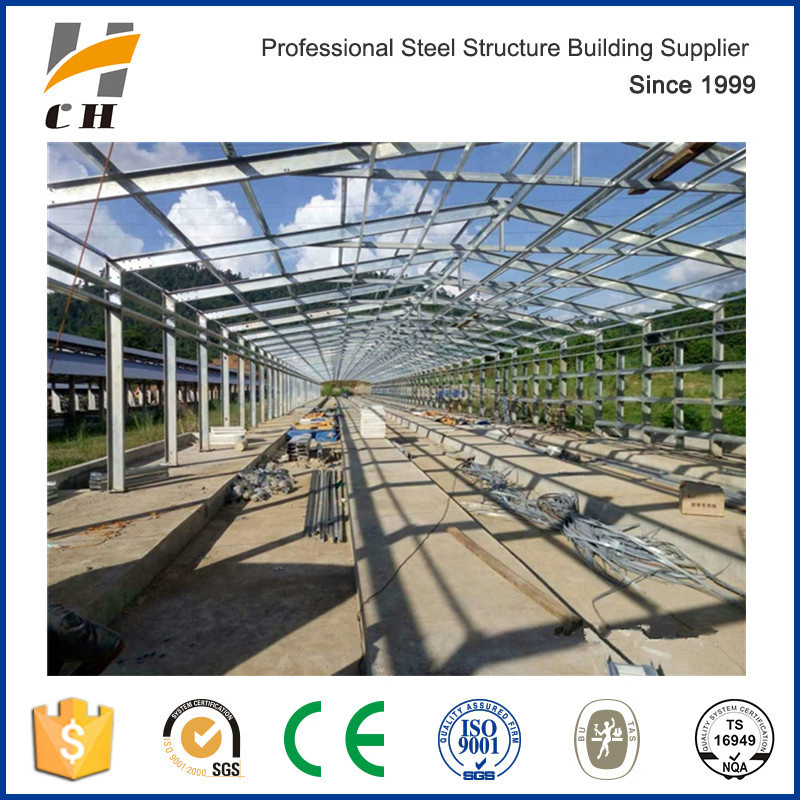 Poultry Shed/Farm/House Steel Roof Construction Structures