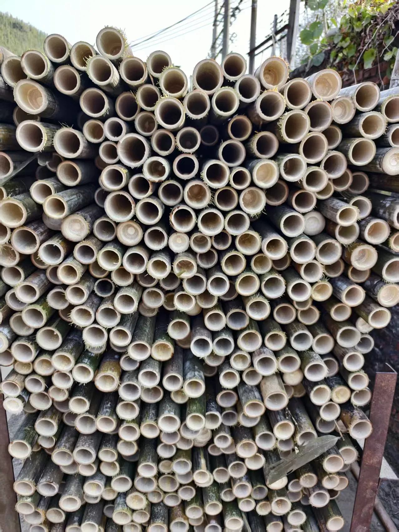 High Quality Nature Bamboo Pole