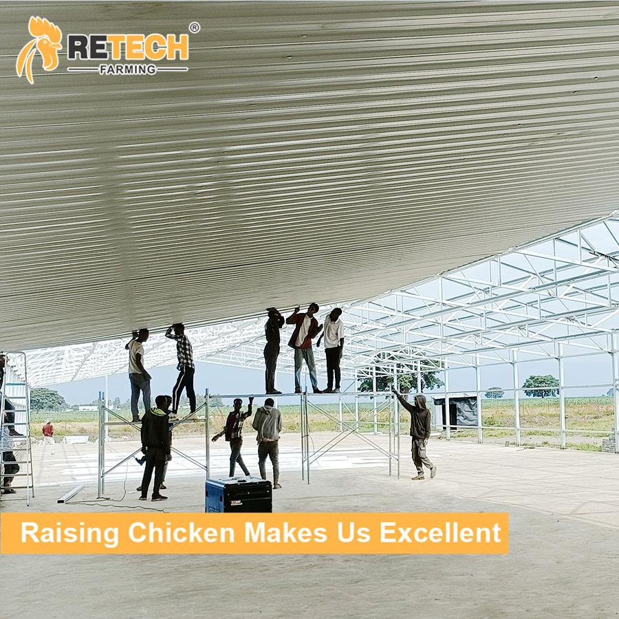 High Quality Chicken Coop House Farming Chicken Farming Chicken Cage