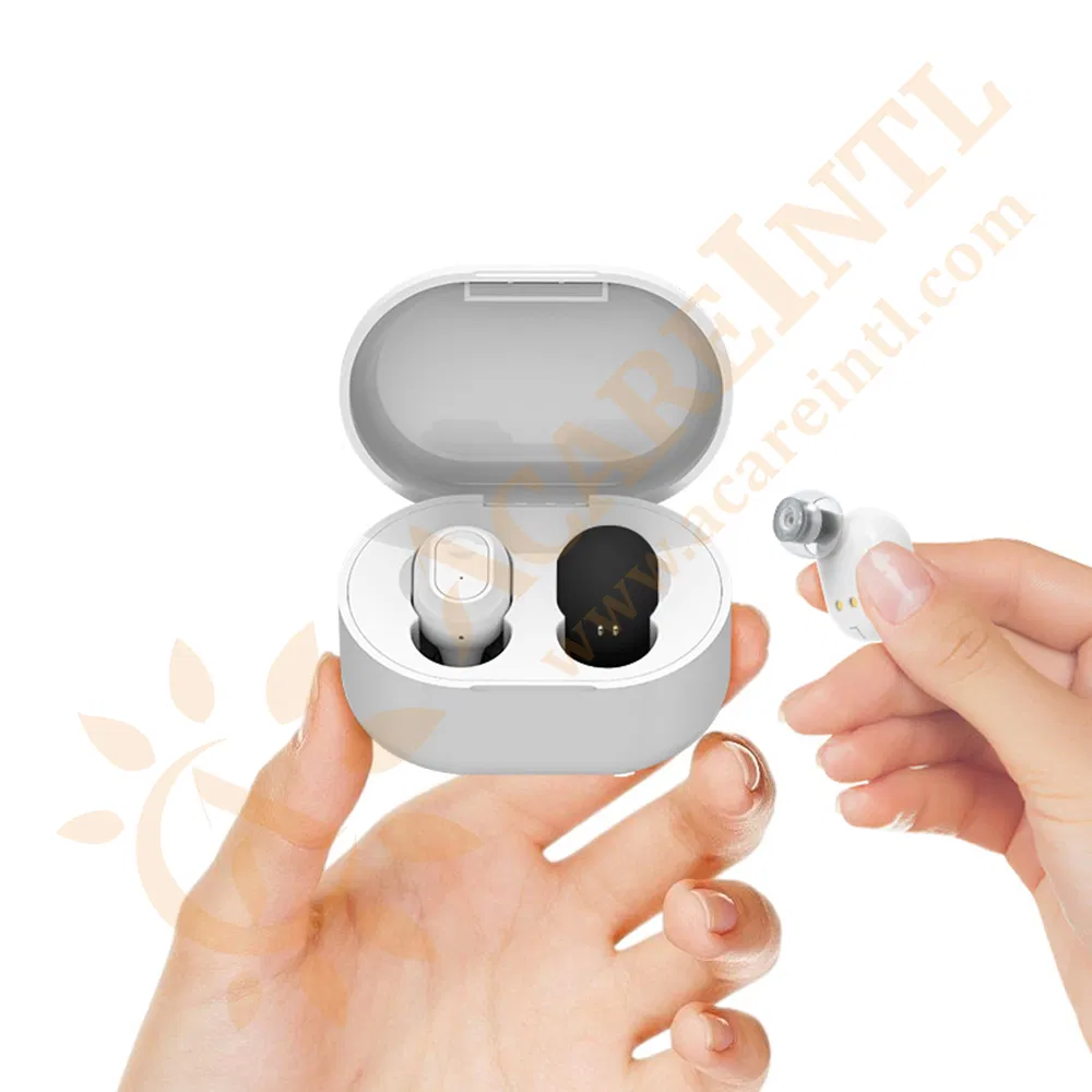 Rechargeable Mini Digital Hearing Aid with Magnetic Contact Charging Case