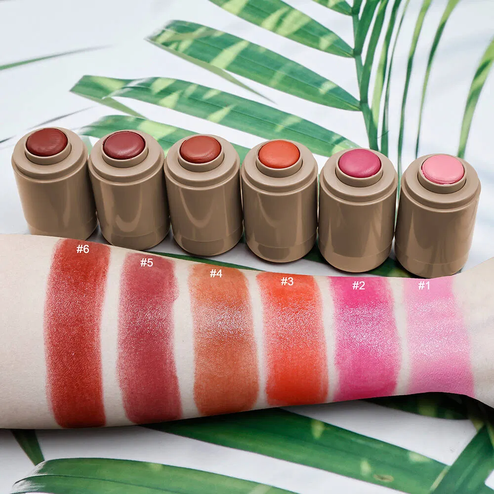 Makeup Versatile 2-in-1 Lip Blush Stick with Matte Finish Private Label