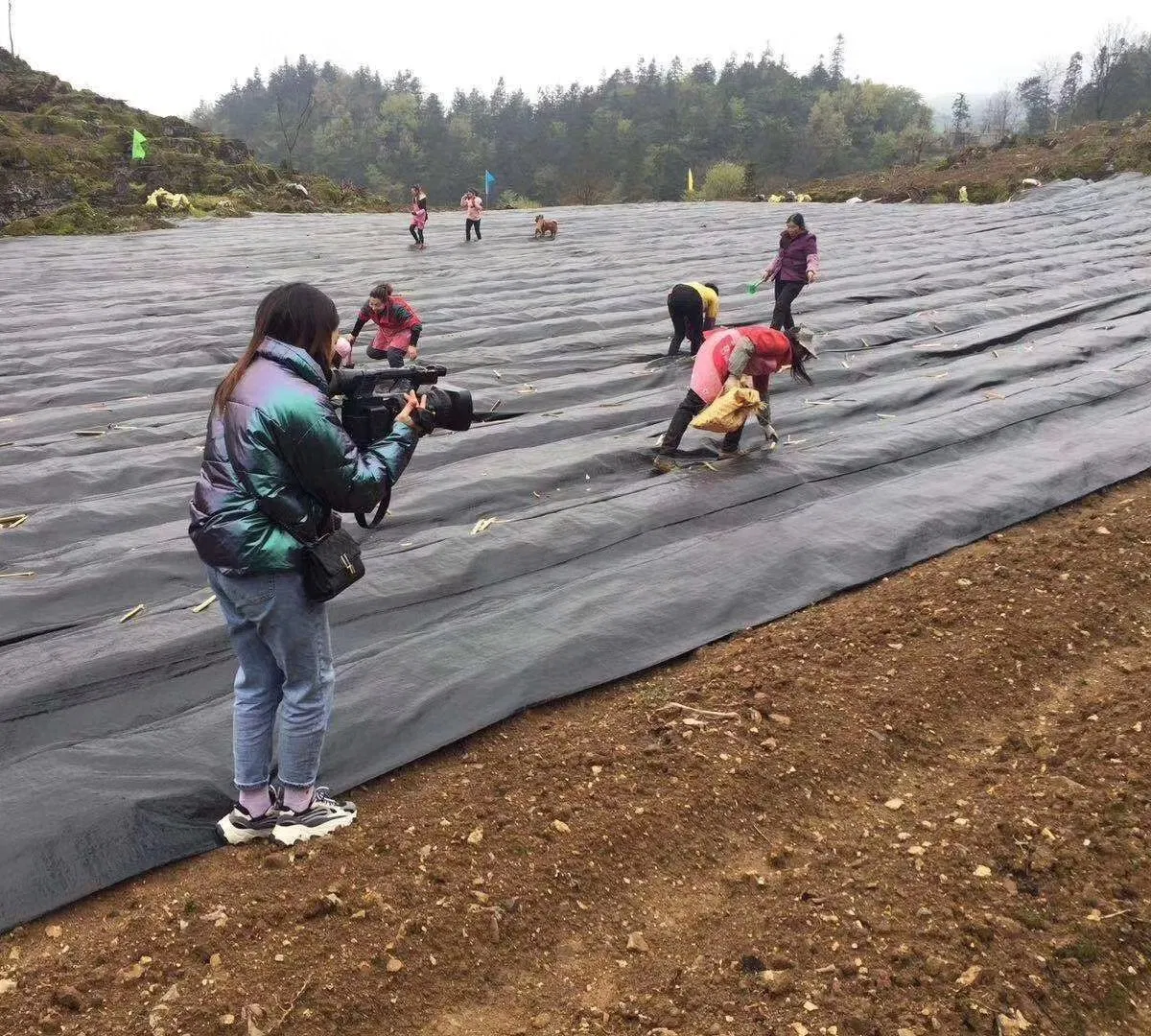 Expert Maker Plant Protection Anti Weed Control with UV Treatment Fabric