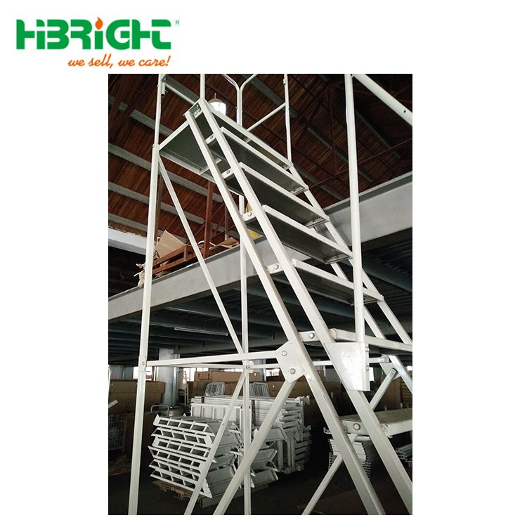 Adjustable Moveable Industrial Multi Tierr Steel Ladder Truck