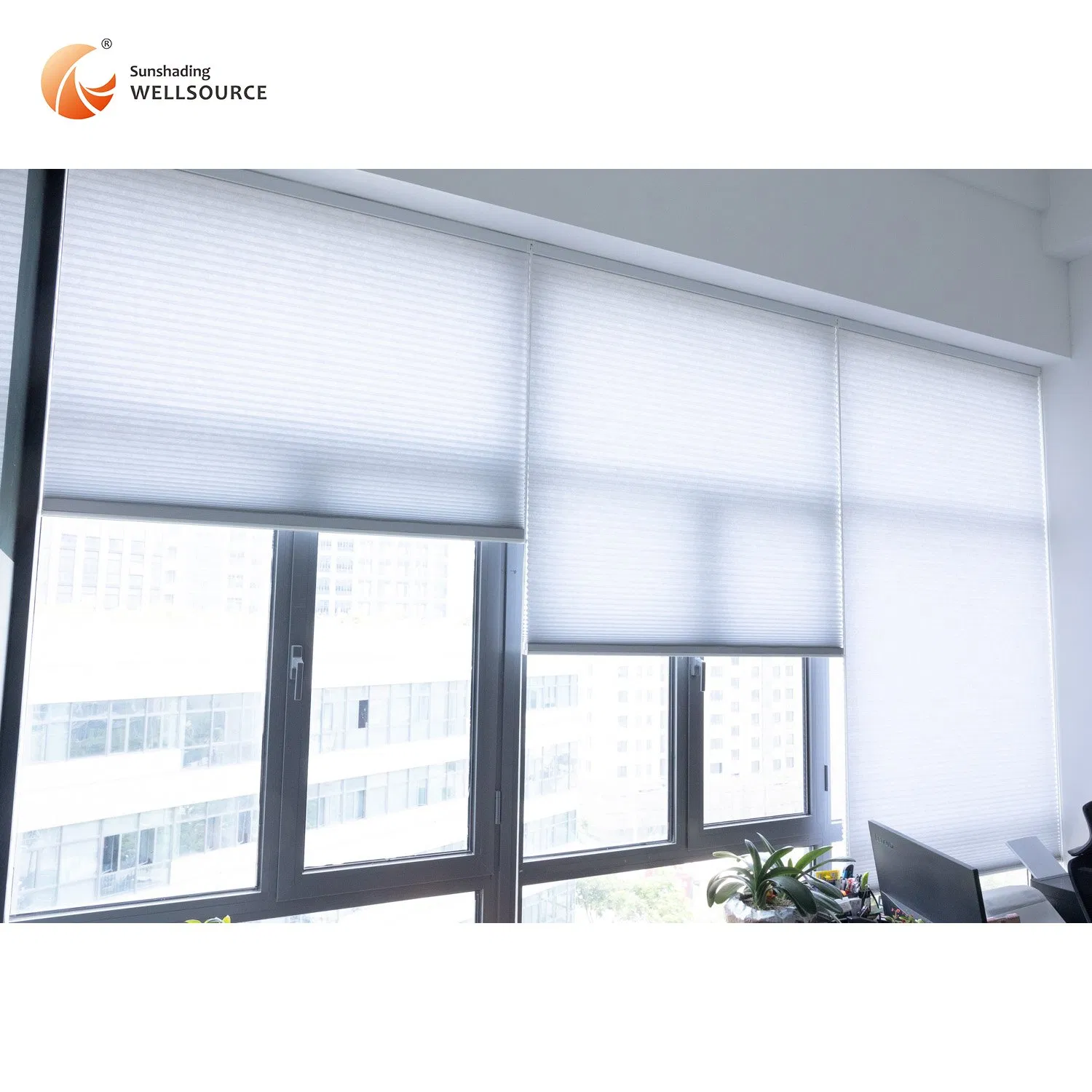 Light Filtering Honeycomb Shades Horizontal Window Blinds for Living Room