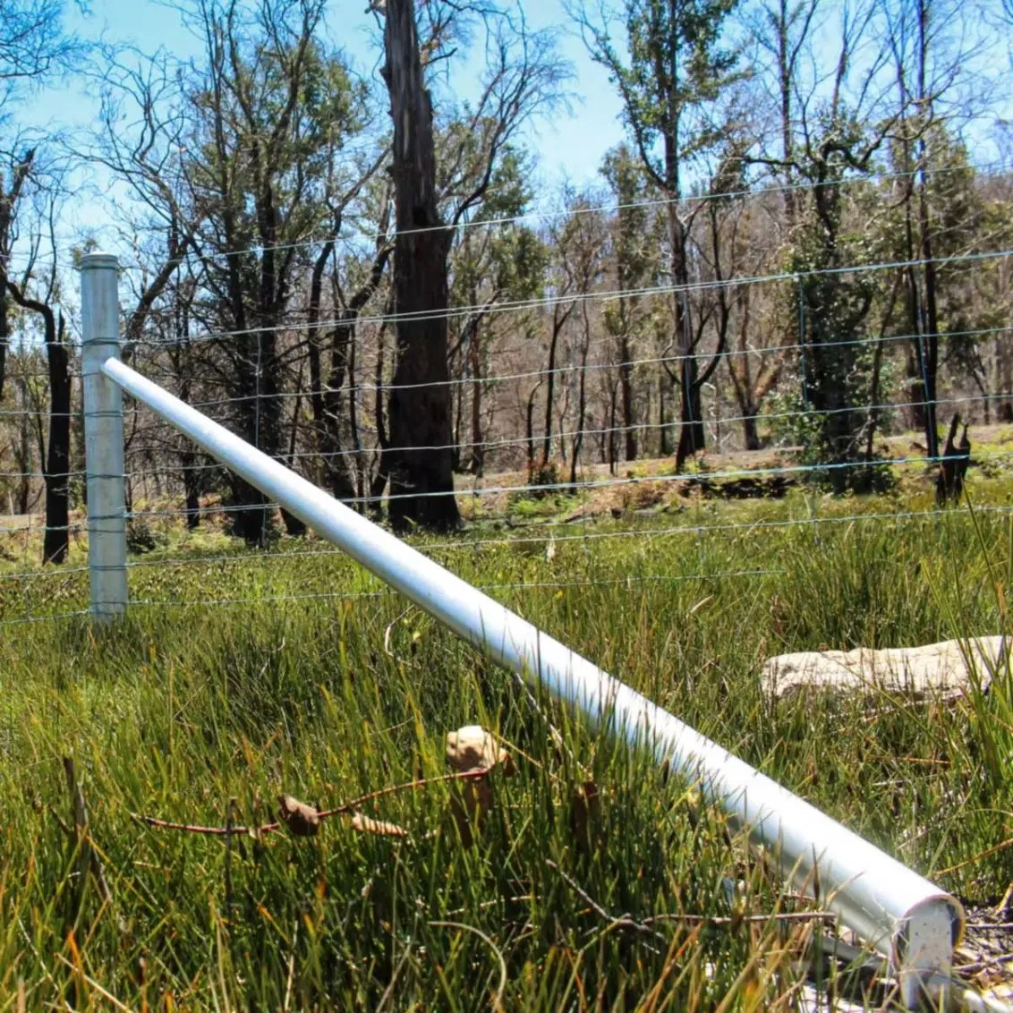 Heavy Duty Galvanized Steel Strainer Post for Farm & Ranch Fencing