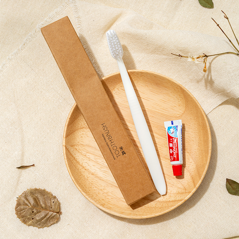 Wholesale Hotel Toiletries Set Disposable Toothbrush