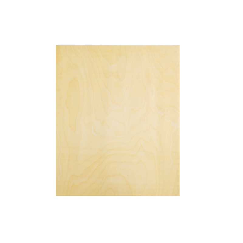 Waterproof Birch Wood Birch Veneered Plywood for Exporting