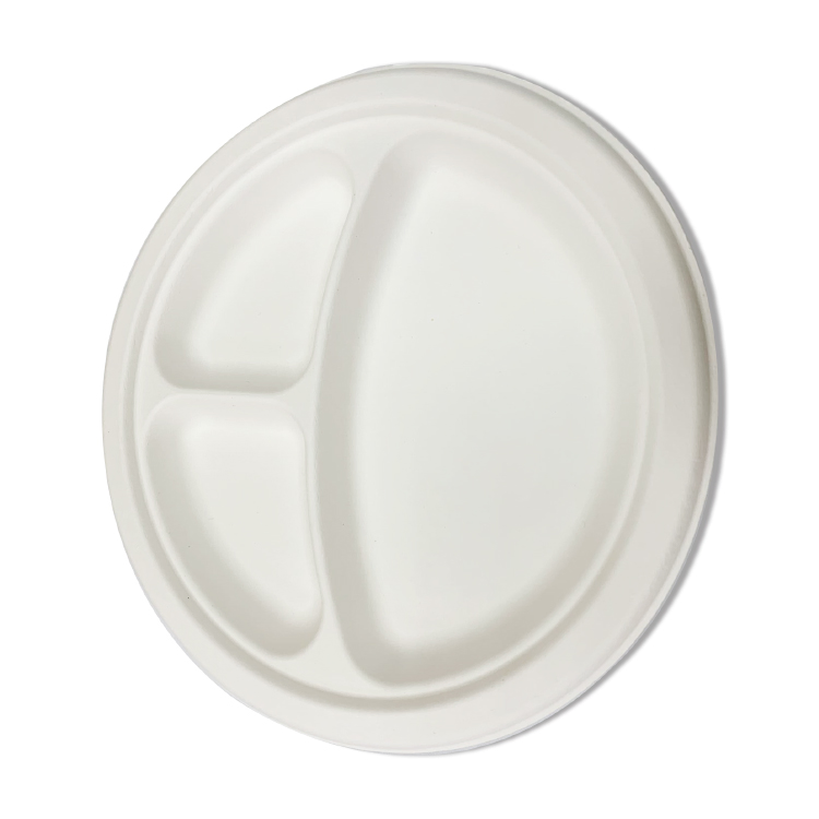 2022 Eco-Friendly Disposable Plate Bagasse Food Round Plate Takeaway Biodegradable Sugarcane Plate