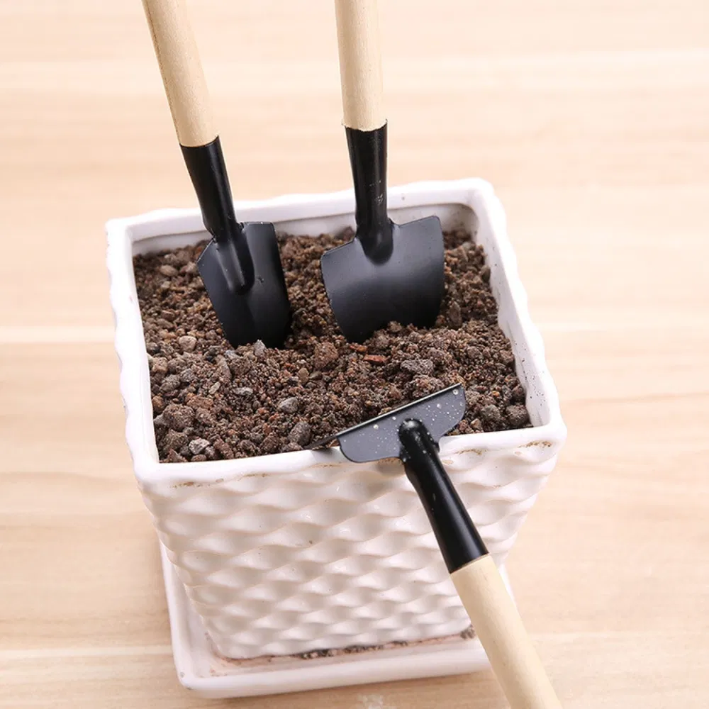 3PCS Mini Plant Garden Gardening Tools Set Wyz21387