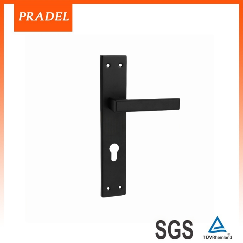 Premium Stainless Steel Exterior Door Handle with Lock Plate