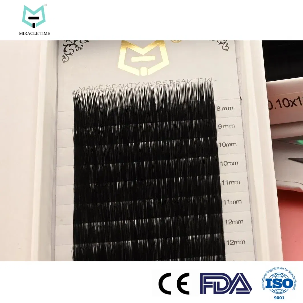 Mtlashes China Wholesale Korean Technology Classic Natural Eyelash Extensions