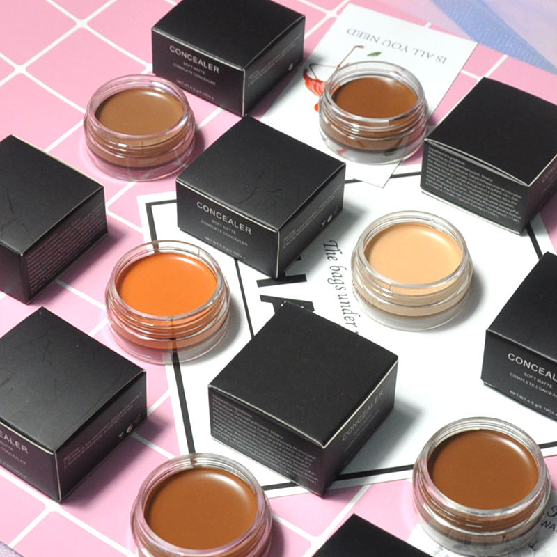 11 Colors Full Coverage Private Label High Quality Professional Makeup Concealer