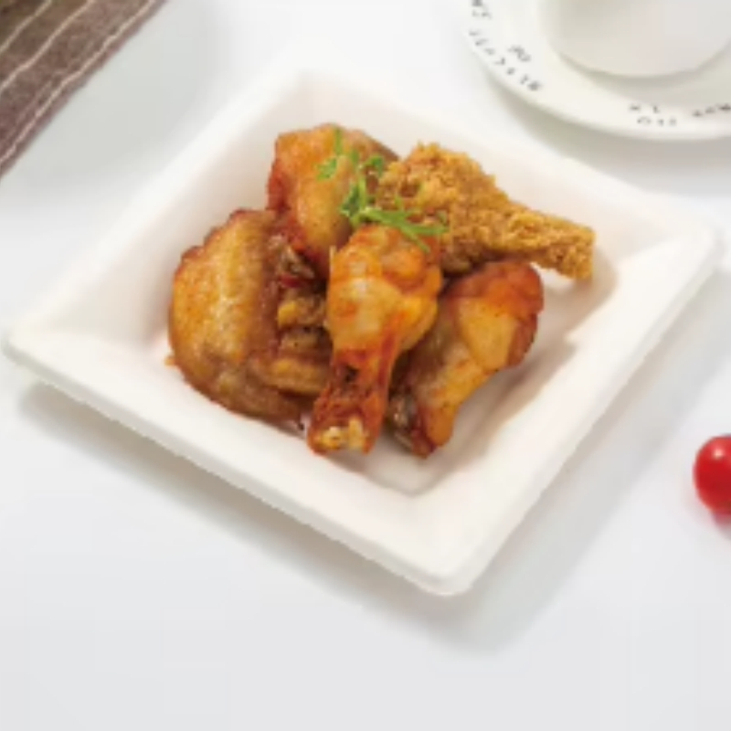 Wholesale Disposable Black Food Salad Plate