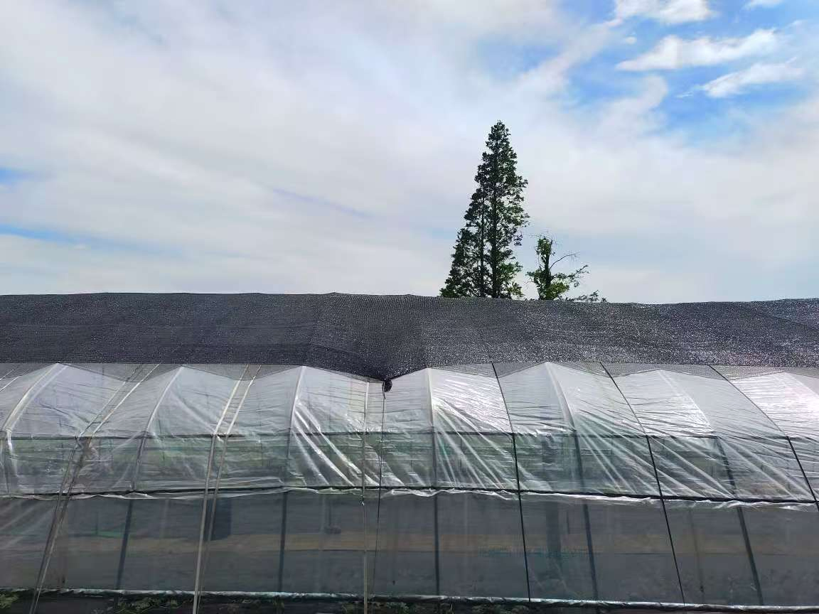 Construction/ Building/Garden/ Sun Protection Green Shade Netting Scaffolding Fence Polyester Nets Plastic Safety Net