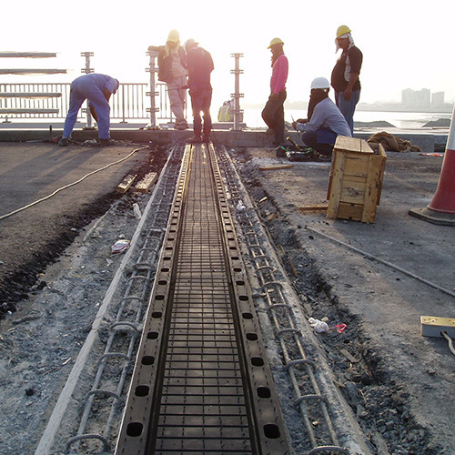 Neoprene Rubber Bridge Elastomeric Expansion Joints with Large Movements Flexible Rubber Bridge Expansion Joints for Bridges