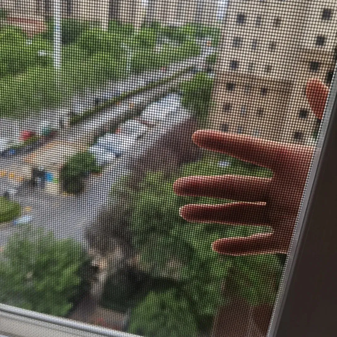 Anti-Insect Aluminum Wire Mesh Mosquito Net for Home and Office