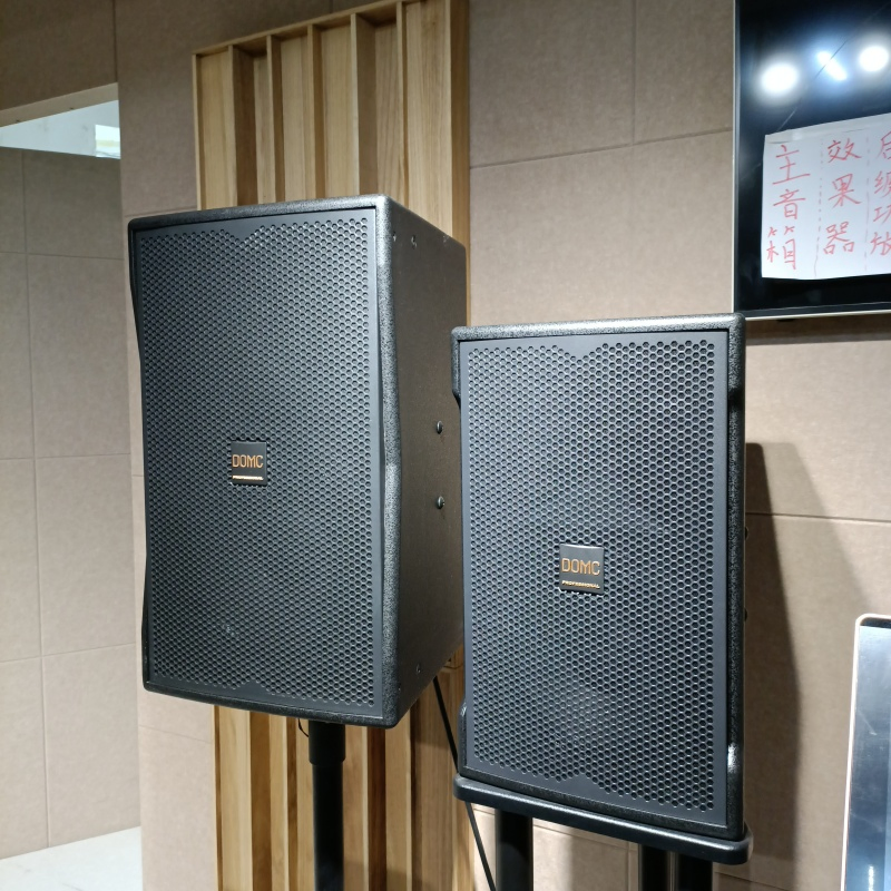 Advanced K210 10-Inch Speaker for PRO Studio Monitoring Needs