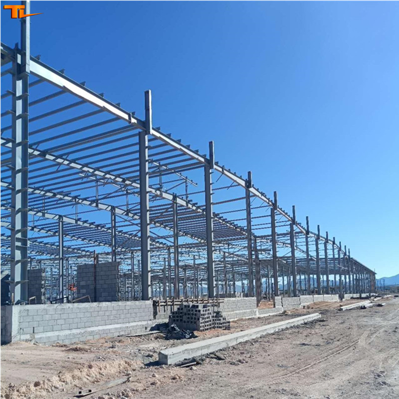 China Design and Manufacture Steel Structure Car Shop