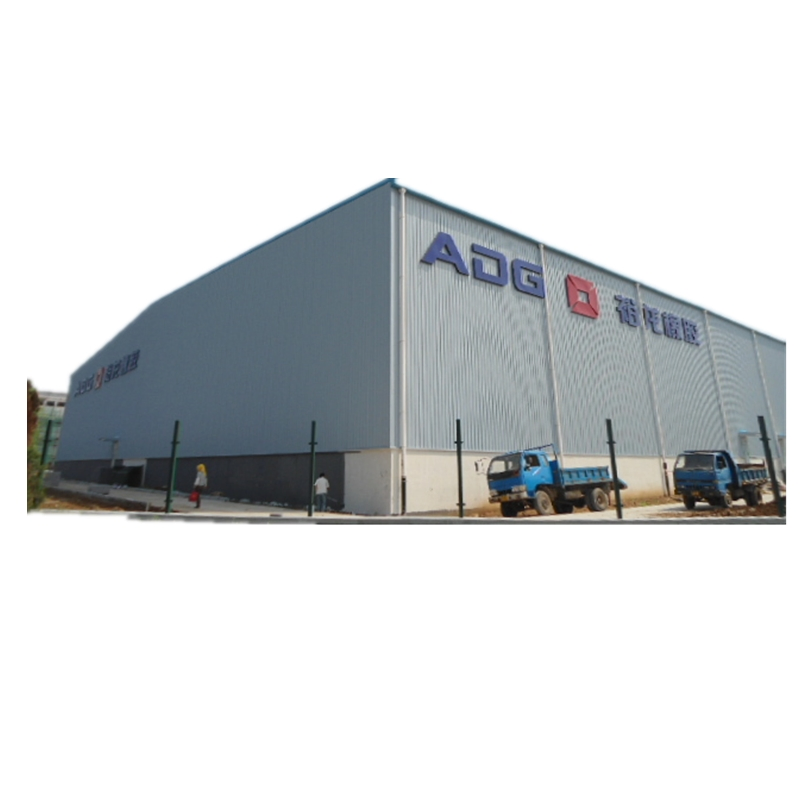 Two Storeys Steel Frame Construction Building (TW-249J)