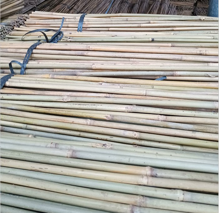 Cucumber, Beans, Tomatoes, and Small Bamboo Poles/Supporting Bamboo Pole