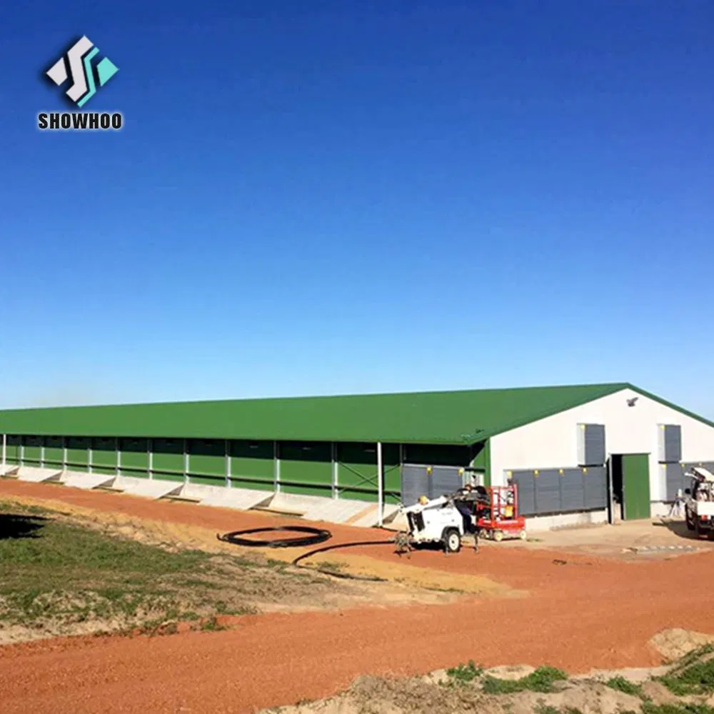 Professional Cheap Layer House Farm/Broiler Chicken House with Equipment Supplier in China Listed Company