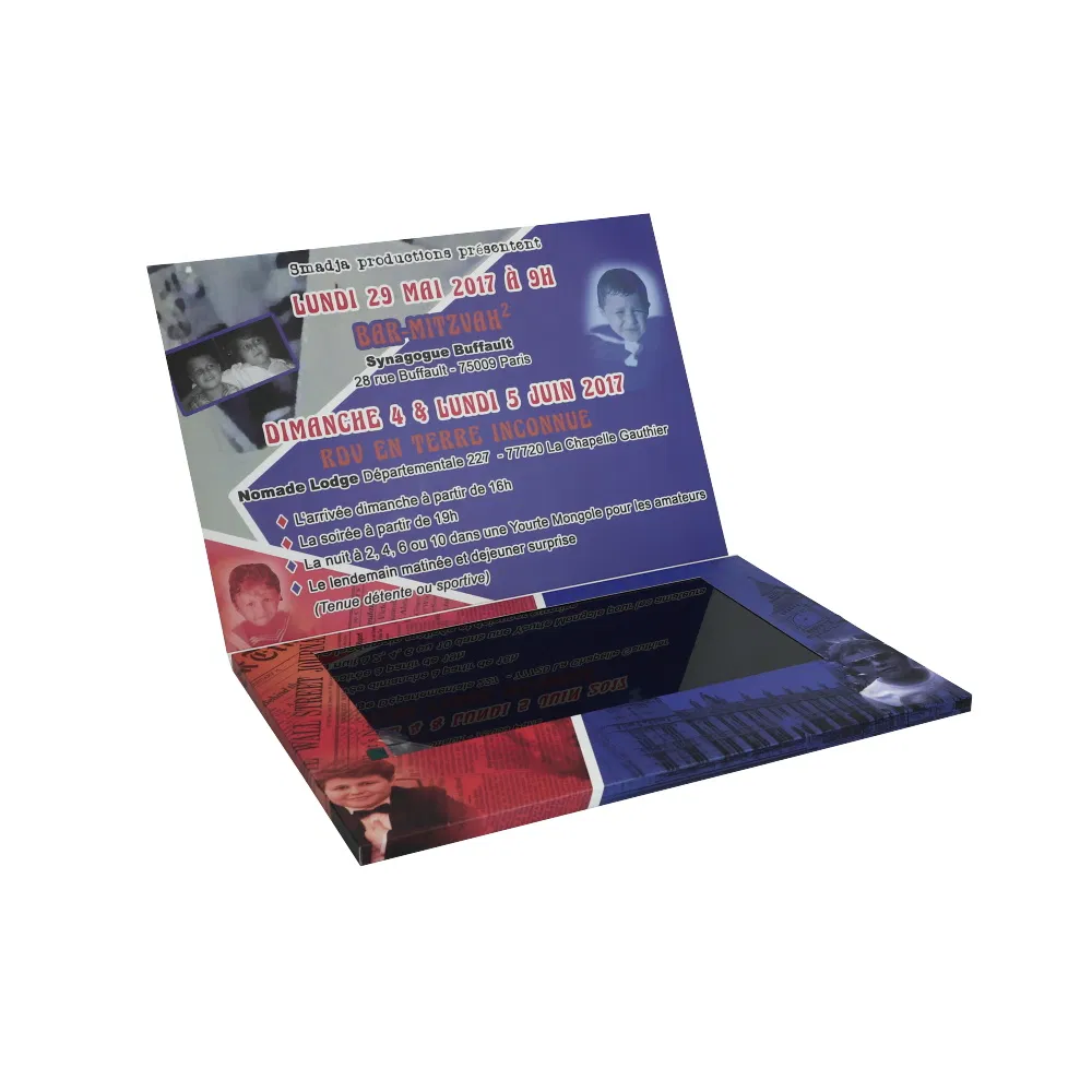 10.1inch IPS LCD Screen Video Card for Promotion