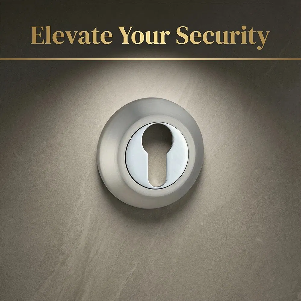 Pot Lid Shape Zinc Alloy Rosette Simple Morden Cylinder Escutcheon with Knob