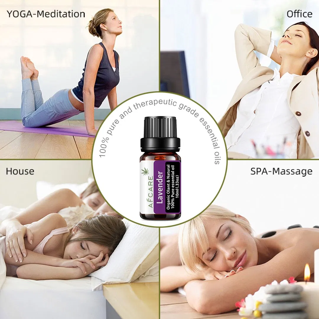 Sleeping Relaxing Aromatherapy Essential Oils for Face Lavender Drop
