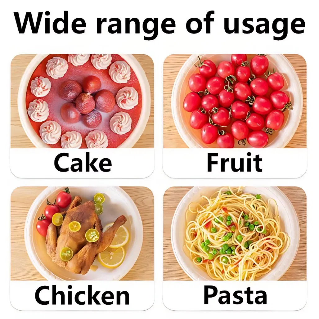 Custom Printed Biodegradable Plate for Restaurant and Catering Use