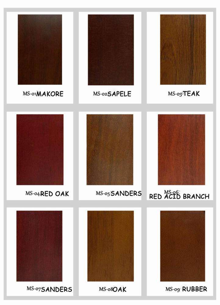 Good Price Front Entry Door Modern Smart Lock Entrance Pivot Door