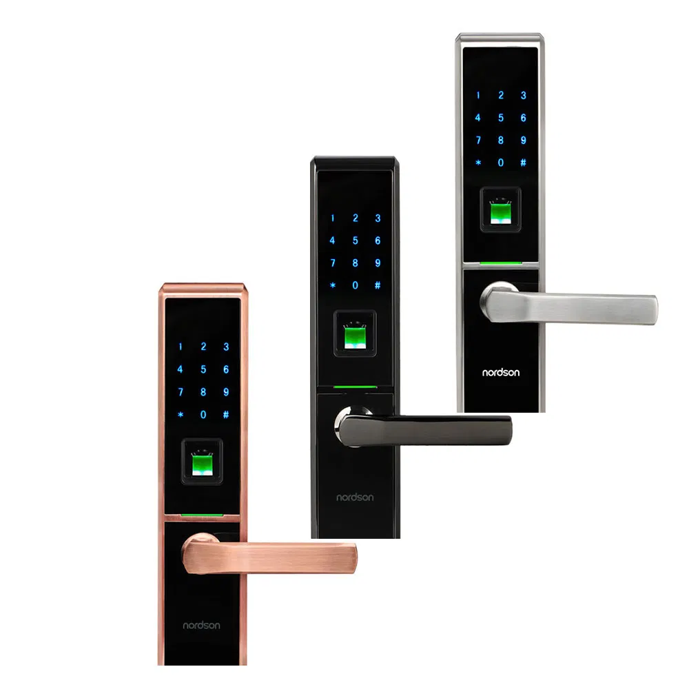 New Design Security Apartment/Home/Hotel Door Lock Fingerprint Smart Home Lock Nordson