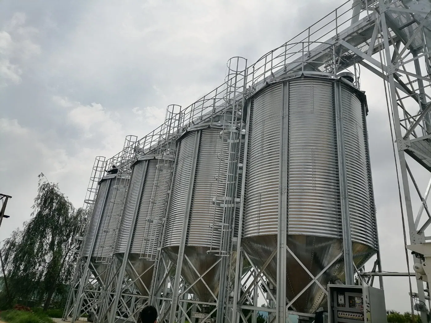 a-Type Cage Egg Breeding with Automatic Machine System