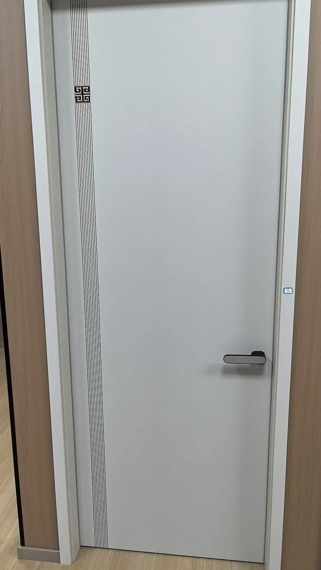 High-Security Fire Door for Schools and Public Buildings
