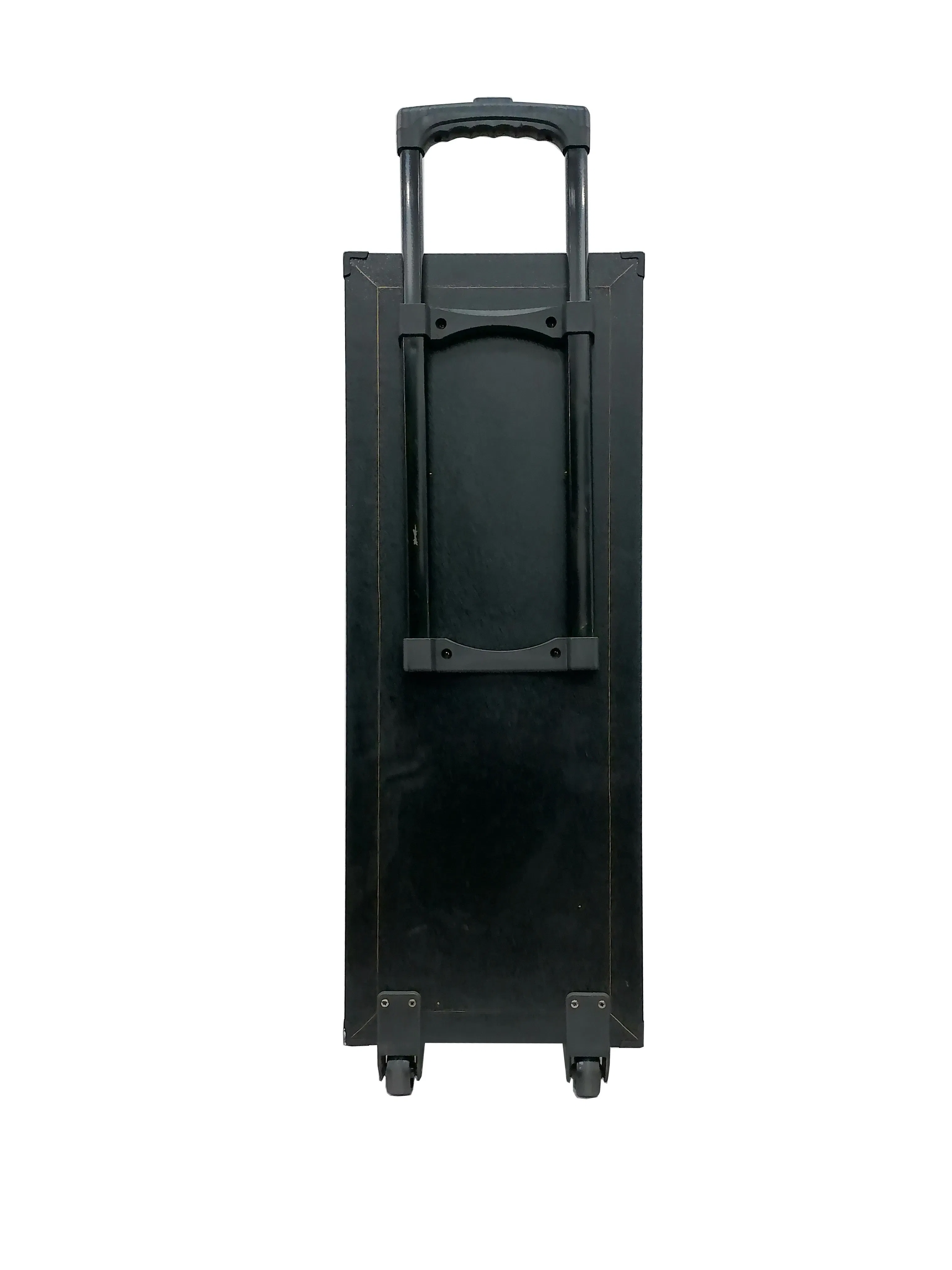 Double 10 Inch Plastic + Wooden Case Professional Speaker Woth Lighting