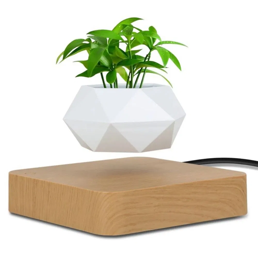 Magnetic Floating Display Plant Pot for Succulents Air Bonsai Pot